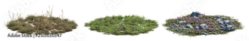Variations of grass patches featuring dry weeds  small flowers  and rocky soil isolated on a transparent background. Perfect for architectural 3d rendering and digital landscape design