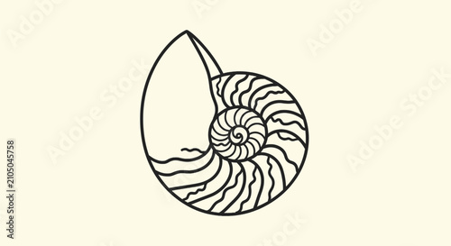 Foto Spiral nautilus shell line drawing on off white background