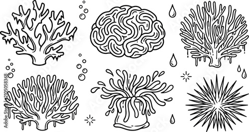 Foto Hand drawn coral reef vector doodle set featuring brain coral sea anemone urchin