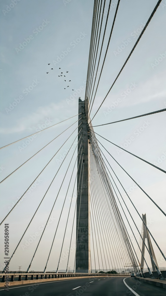 Fototapeta premium Modern Cable-Stayed Bridge with Rising Bird Flock against Clear Sky