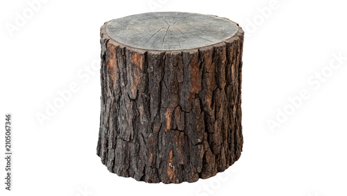 Photos Round natural tree log segment bark texture asset isolated on transparent backgr