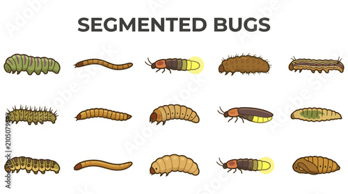A collection of fifteen colorful stylized illustrations of various wormlike larvae and segmented insects arranged in a grid
