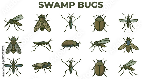 A grid of fifteen colorful vectorstyle illustrations of various swamp insects arranged in three rows