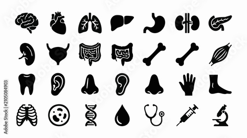 Bild auf Leinwand Human Anatomy, Organs, Body Parts, and Medical Science Icons Set