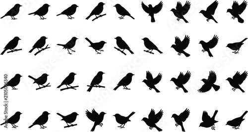 Quadro su tela Collection of black bird silhouettes on a white background avian bird shaped bir