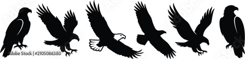 Foto Falcon silhouettes in various flight poses black vector illustration on a white