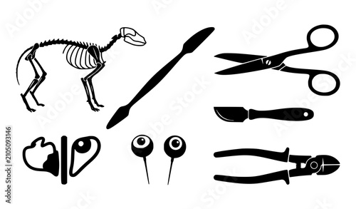 Cuadro en lienzo Veterinary Medicine and Animal Taxidermy Surgical Tools Silhouette Icon Set Feat