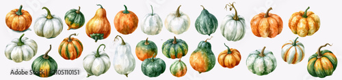 Obraz na płótnie Watercolor pumpkins and gourds illustrating a seasonal collection of various squash types