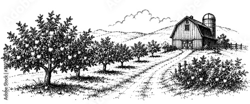 Highly detailed vintage engraving of a productive orchard with fruit trees leading to a rustic barn, showcasing agriculture, harvest season, and peaceful rural countryside scenery.