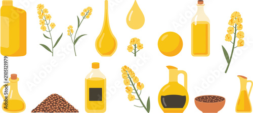 Natural cooking oil collection, healthy vegetable ingredients for kitchen, nutrition and culinary illustration designs