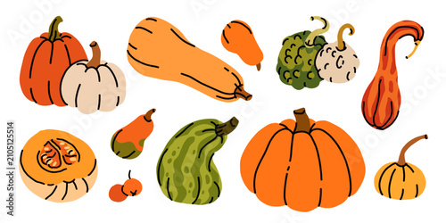 Foto Hand drawn pumpkin and squash collection: classic pumpkin, butternut squash, warty gourds, striped gourd, pumpkin slice, and mini pumpkins in orange, green, and cream fall colors