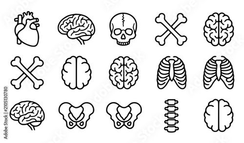 Cuadro en lienzo Generic human anatomy vector icon set with simple bold line art classic complete