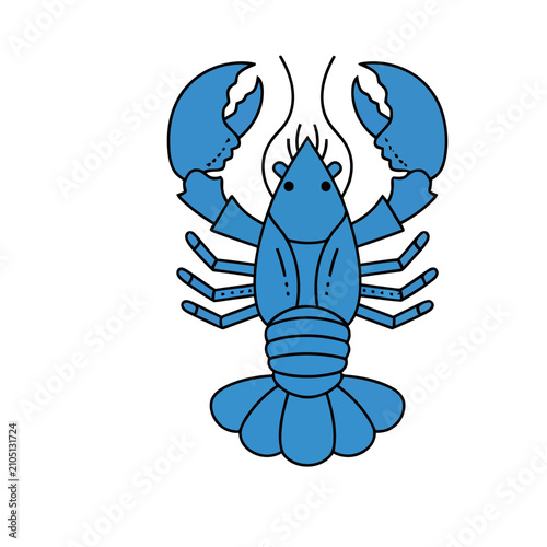 Blue Lobster Illustration