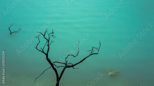 Quadro su tela A dead tree in the middle of an ancient lake with blue water.