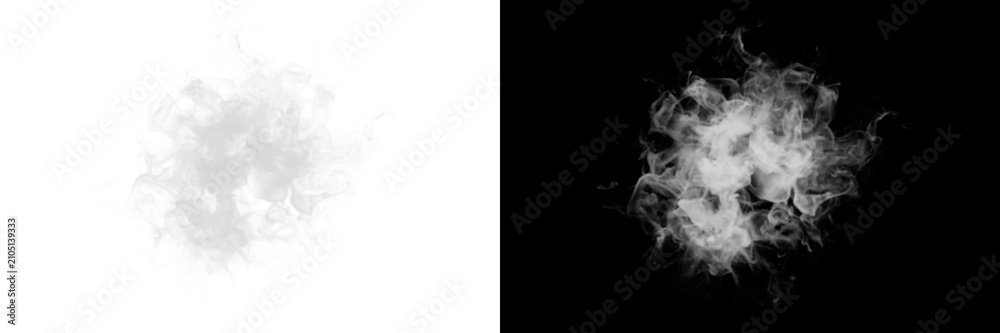Obraz premium Soft white smoke swirl isolated on transparent background for overlay