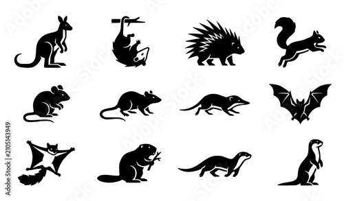 Canvastavla Small wild mammals rodents and nocturnal marsupial animals black silhouette vect