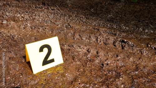 Принти на полотні Evidence marker number two identifying relevant tire tracks and footprints impre