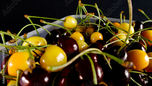 Freshly picked red and yellow wild cherries filling a plastic container, showcasing vibrant colors and fresh stems with a shallow depth of field