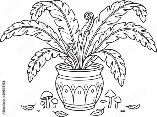 Potted fern with decorative leaves and mushrooms during autumn isolated on white background