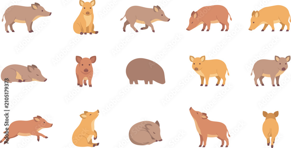 Obraz premium Diverse set of cute flat vector wild boar icons in various poses, showing different behaviors and body positions.