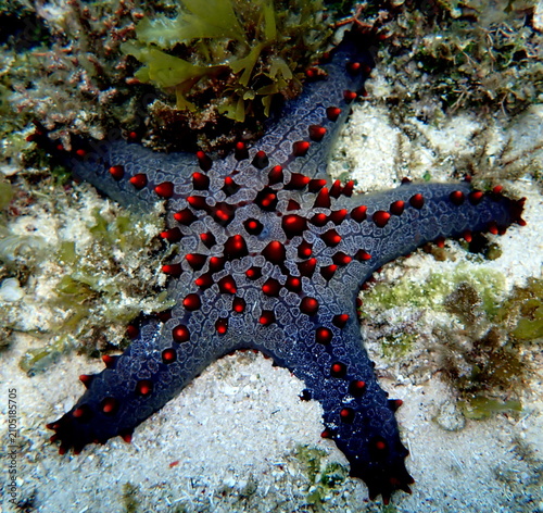 Philippines