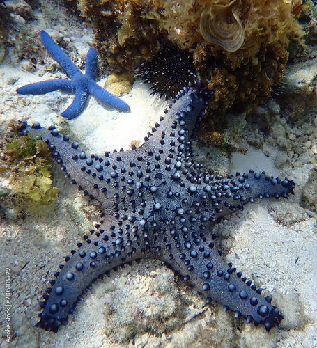 Philippines
