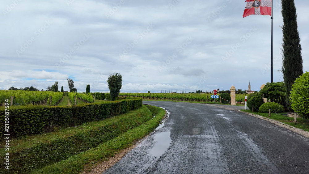 Obraz premium Wet Road Winding Through Lush Vineyards in Saint Emilion France