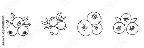 Berry Fruit Hand Drawn Doodle Icon Set. Blueberry, Cranberry And Small Round Fruit Sketch Symbol Collection. Food And Healthy Snack Use. Isolated Vector Illustration