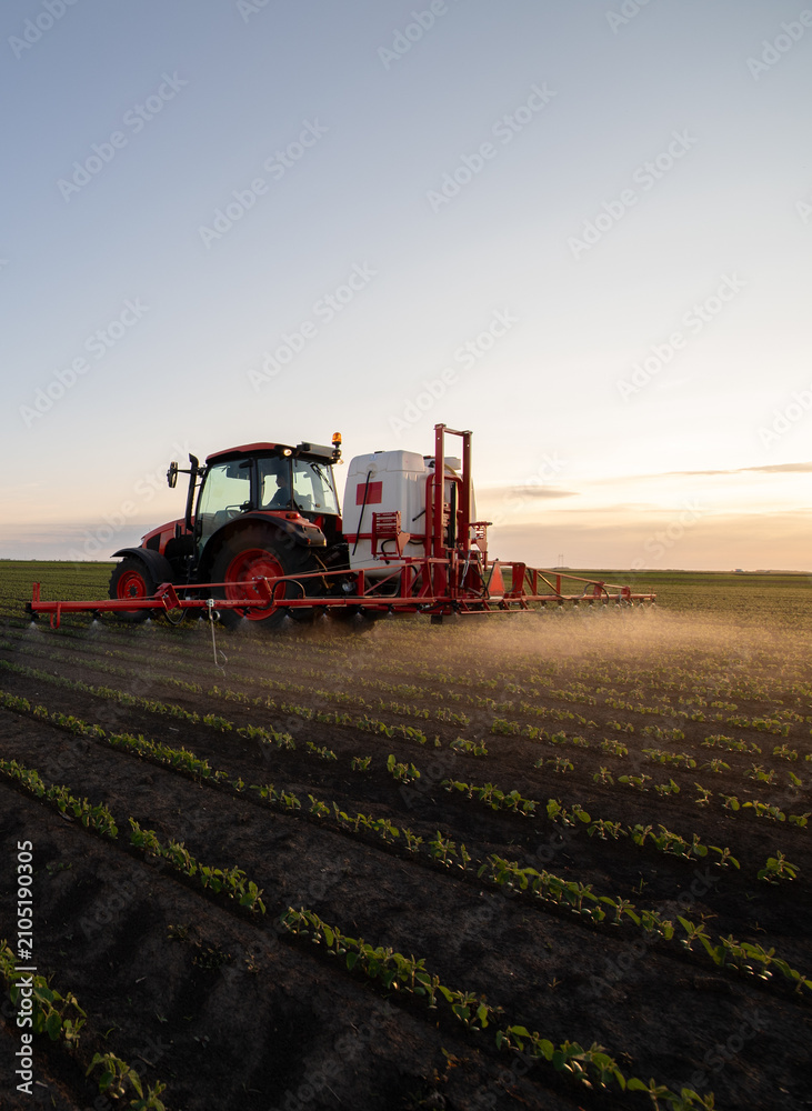 Obraz premium Tractor spraying soybean field at sunset