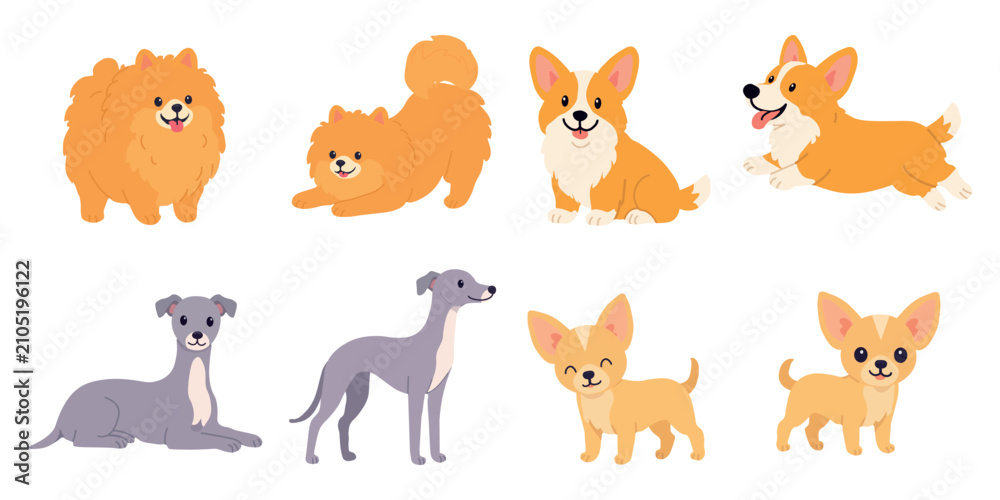 Obraz premium Cute dog set featuring pomeranian spitz corgi italian greyhound and chihuahua breeds. Cute domestic pet clip art collection for animal shelter posters veterinary flyers and stickers