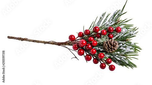 Bild auf Leinwand Frosted pine branch with red berries and pine cone