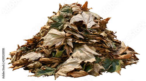 Fotografie Pile of dry fallen leaves in autumn colors