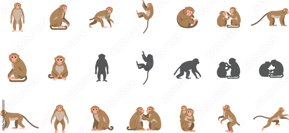 Obraz premium Set of various monkey character poses and silhouettes in flat vector style for wildlife and nature illustrations