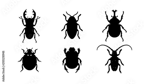 Foto Realistic beetle insect illustration vector set with detailed wildlife bug chara