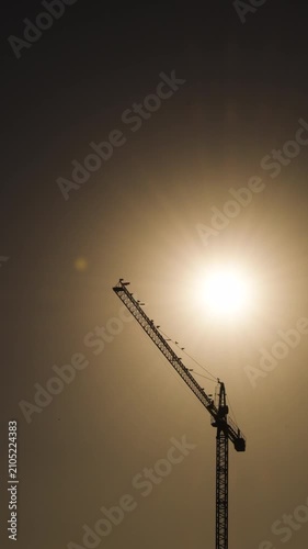Silhouette of a heavy industrial construction tower crane standing against a bright golden sun during a hazy orange sunset.
