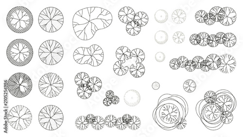 Landscape Tree Plan Symbols CAD Blocks Top View Architectural Vector Library Collection