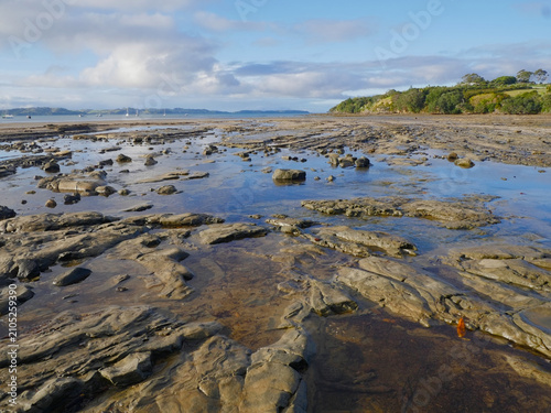 Flat submerged rock platforms and shallow tidal tools exposed at low tide. Location: Algies Bay New Zealand