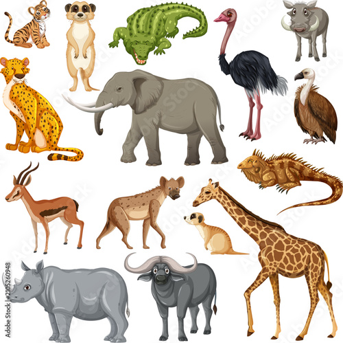 Photography Wild Animals Silhouette Vector Collection with Elephant Lion Tiger Giraffe Horse