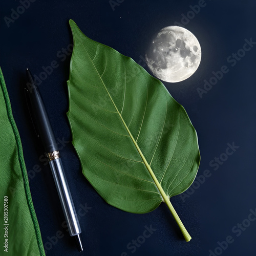 green leaf on the water