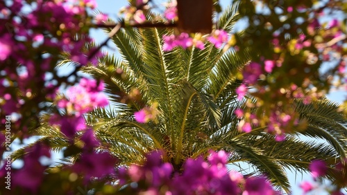 Provence-14