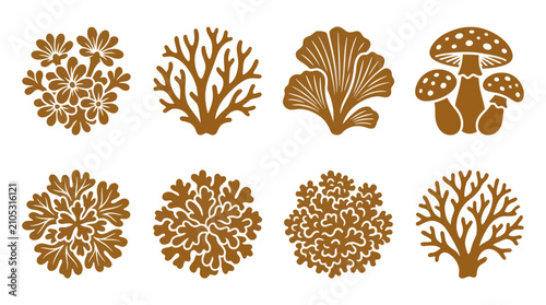 Cuadro en lienzo Botanical and fungal element collection