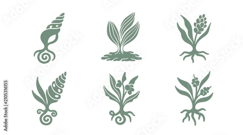 Botanical and natural element icons