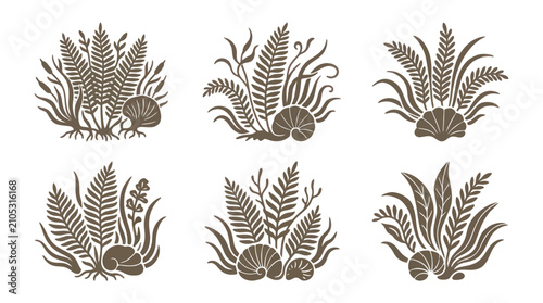 Botanical and shell embellishments
