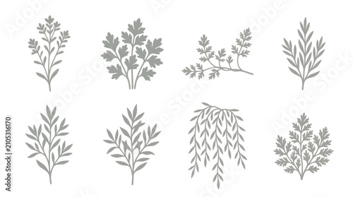 Botanical branch and leaf icons set