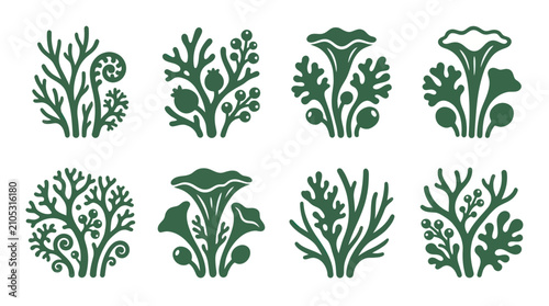 Botanical branch decorative elements