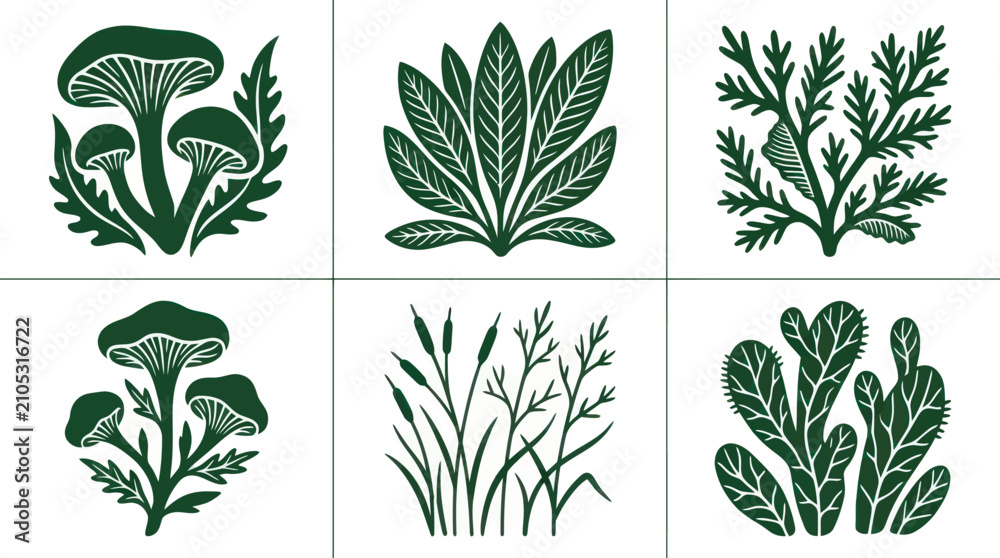 Fototapeta premium Botanical elements collection flat design