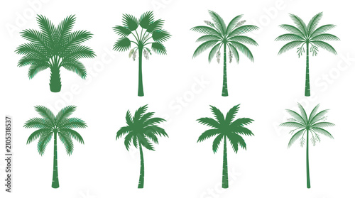 Konstfotografi Collection of green palm tree silhouettes