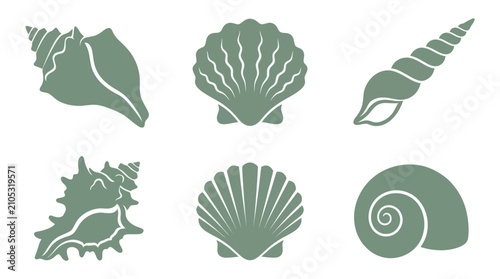 Foto Collection of sea shell icons