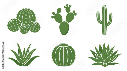 Desert plant collection icons