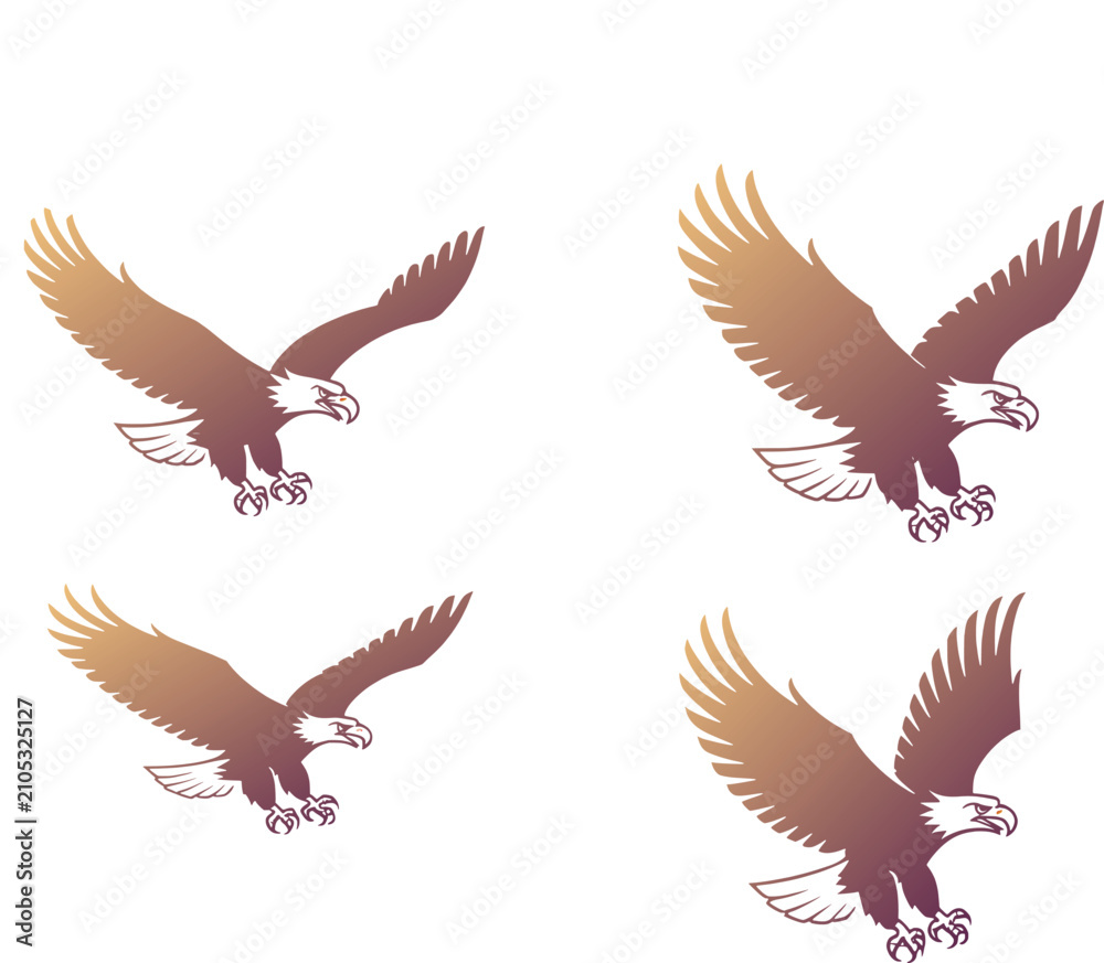 Fototapeta premium Set of four flying bald eagle illustrations showing wild birds in flight with spread wings